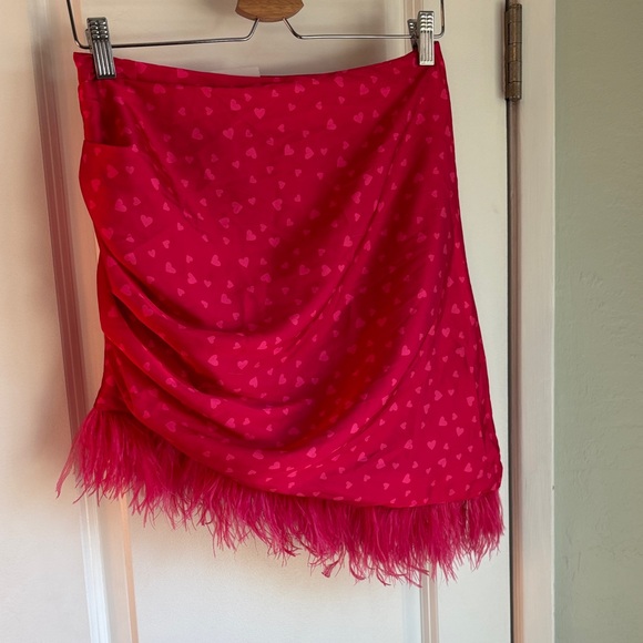 NWT Lovers + Friends “Maisey” Skirt Mini Pink Heart Coquette Ostrich Trim Size M - Picture 8 of 8